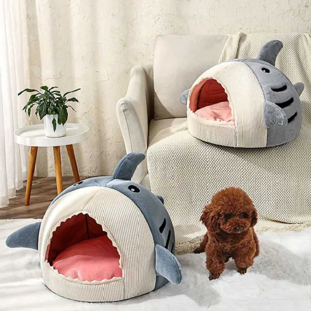 The Shark Pet Bed  K-lerta Shop   