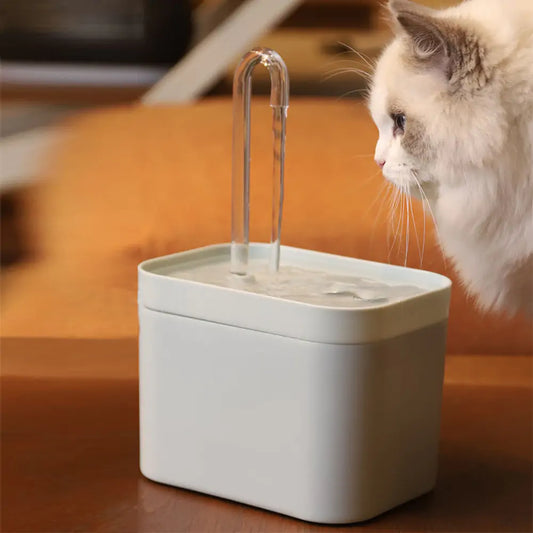 Pet Water Dispenser  K-lerta Shop   