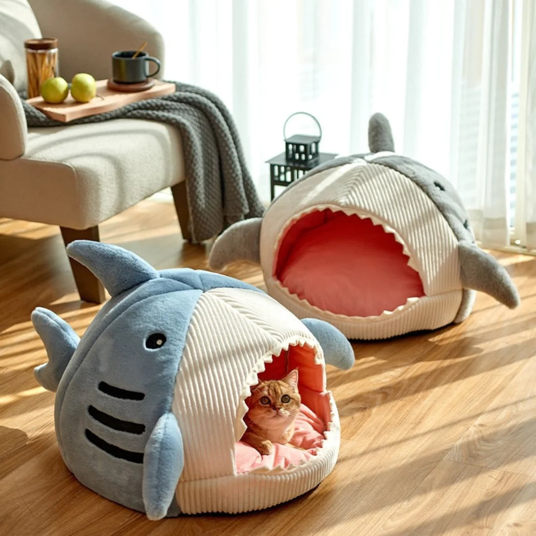 The Shark Pet Bed  K-lerta Shop   