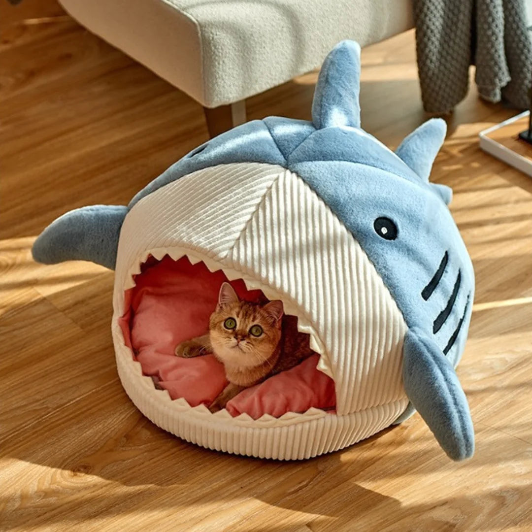 The Shark Pet Bed  K-lerta Shop   