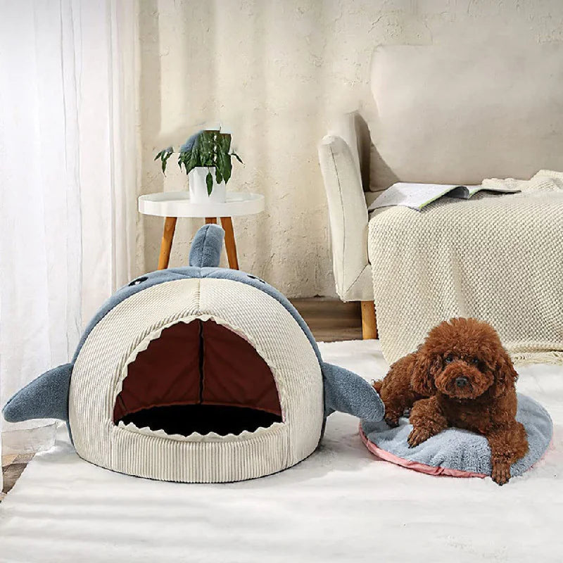 The Shark Pet Bed  K-lerta Shop   