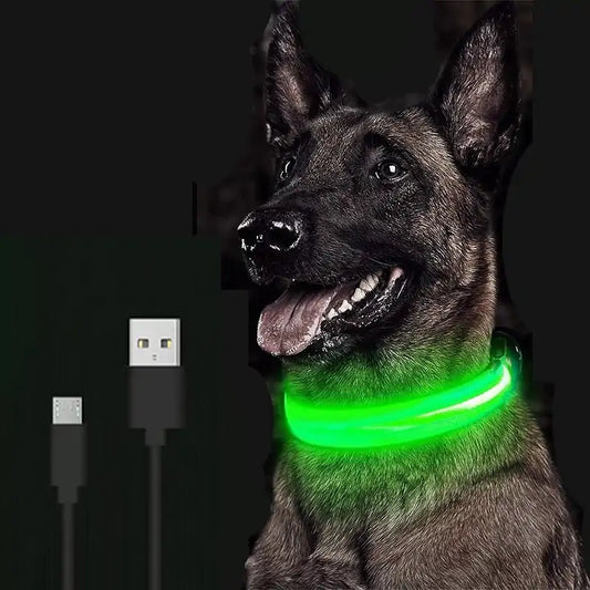 Adjustable LED Pet Collar  K-lerta Shop   