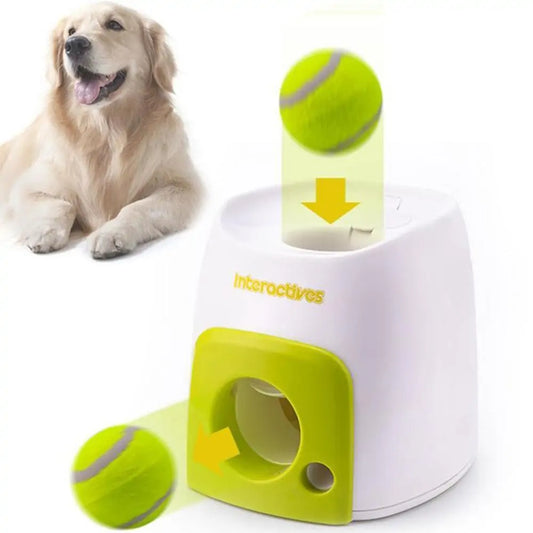 Automatic Interactive Pet Toy  K-lerta Shop   