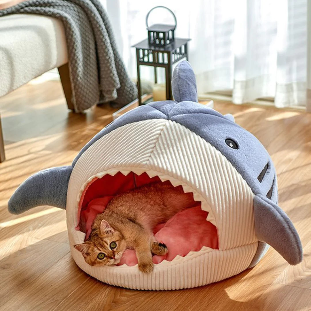 The Shark Pet Bed  K-lerta Shop   