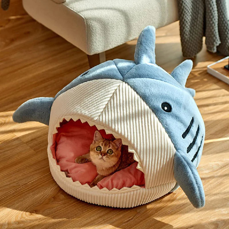 The Shark Pet Bed  K-lerta Shop   