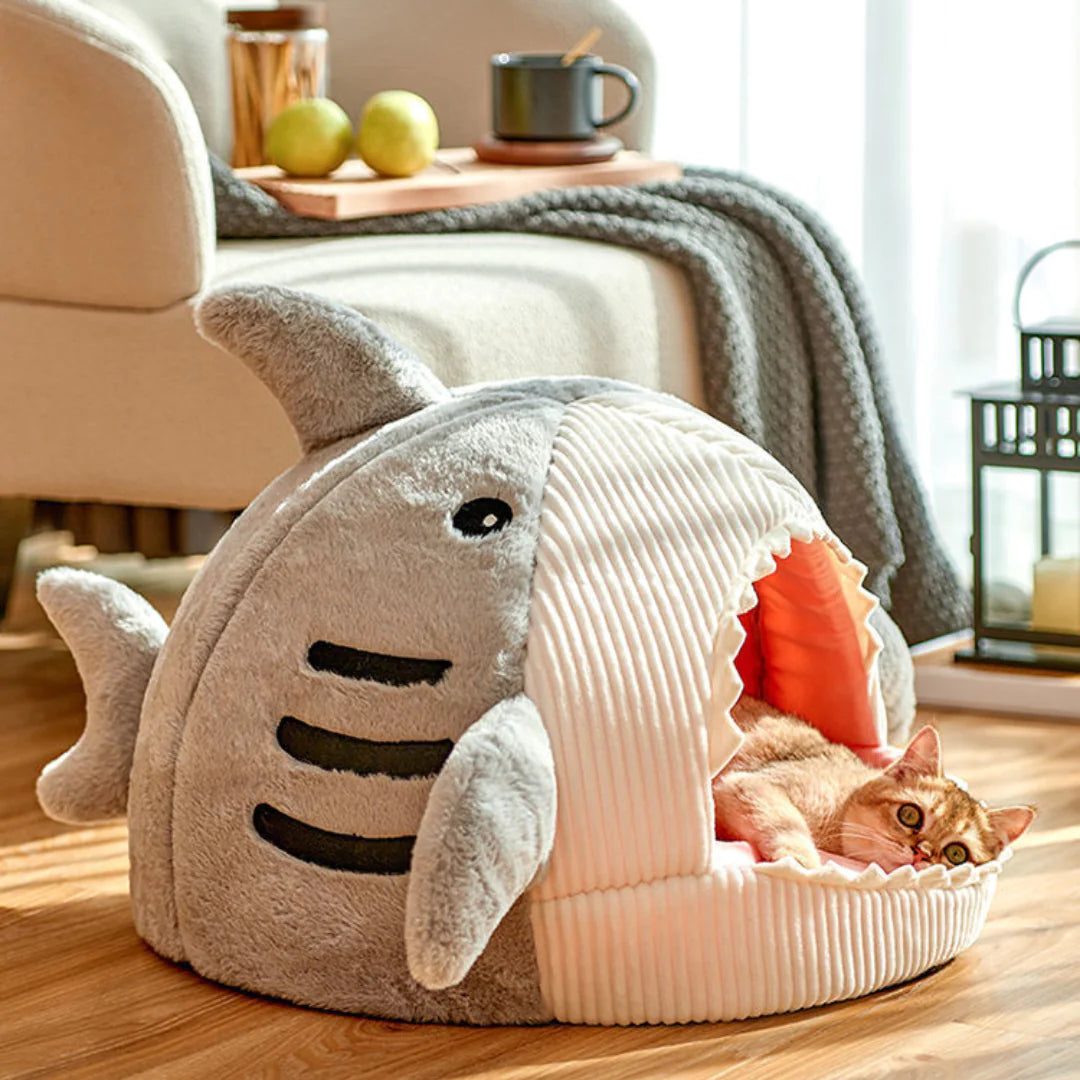 The Shark Pet Bed  K-lerta Shop   