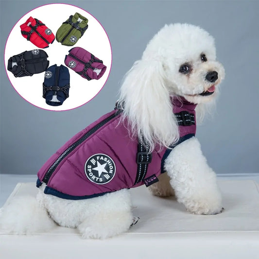 Pet Harness  K-lerta Shop   